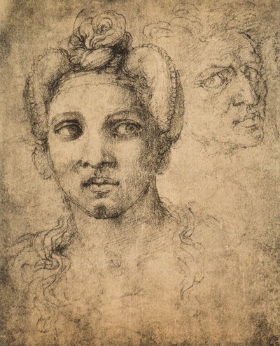 Female Head by Michelangelo Buonarroti